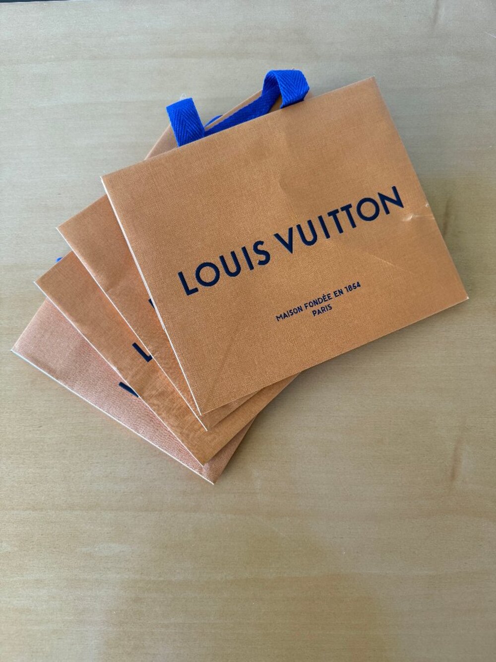 Louis Vuitton used shopping bags